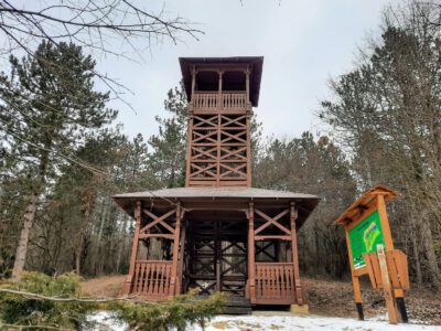 Jól áll a tél és a hó a Malomvölgyi Parkerdőnek