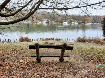 Jól áll a tél és a hó a Malomvölgyi Parkerdőnek