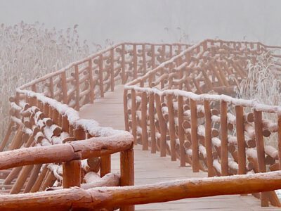 Téli fotókon a Nádirigó tanösvény, a Holt-Tisza sétánya Tiszakécskénél