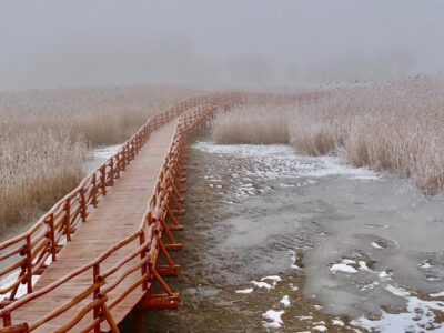 Téli fotókon a Nádirigó tanösvény, a Holt-Tisza sétánya Tiszakécskénél