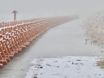 Téli fotókon a Nádirigó tanösvény, a Holt-Tisza sétánya Tiszakécskénél