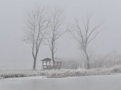 Téli fotókon a Nádirigó tanösvény, a Holt-Tisza sétánya Tiszakécskénél
