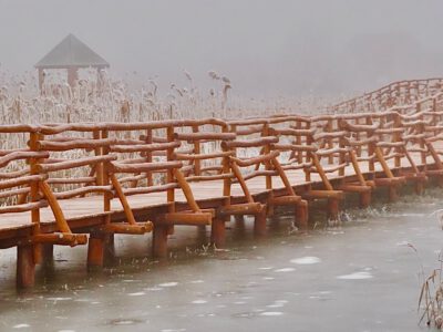Téli fotókon a Nádirigó tanösvény, a Holt-Tisza sétánya Tiszakécskénél