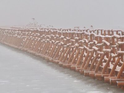 Téli fotókon a Nádirigó tanösvény, a Holt-Tisza sétánya Tiszakécskénél