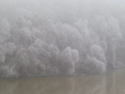 A tiszakécskei Tiszapart, a Tiszakanyar, melyet fehérre festett a zúzmara