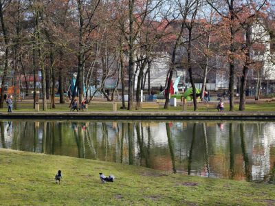 Békás-tó, Debrecen egyik ékessége a város tüdejének szívében