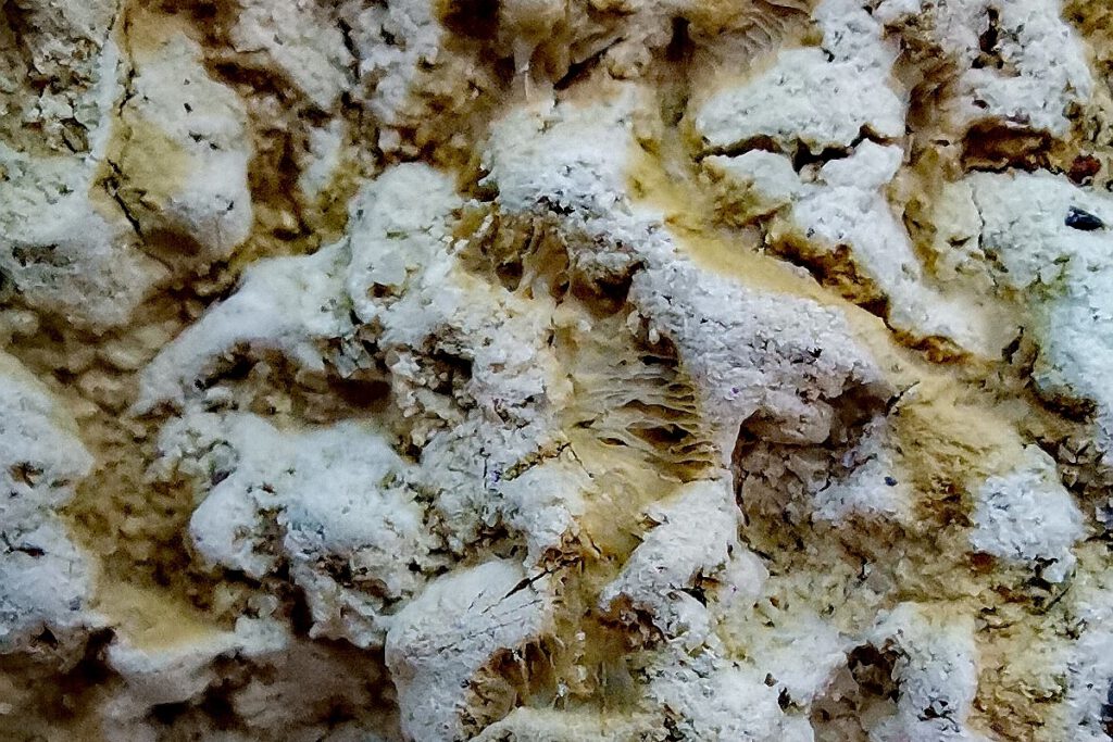 Fehérszék: bizarr forma- és látványvilág a Mátrában