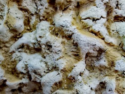 Fehérszék: bizarr forma- és látványvilág a Mátrában