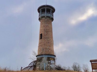 Szirmait bontogatja a védett leánykökörcsin a Kis-Strázsa-hegy kilátójánál