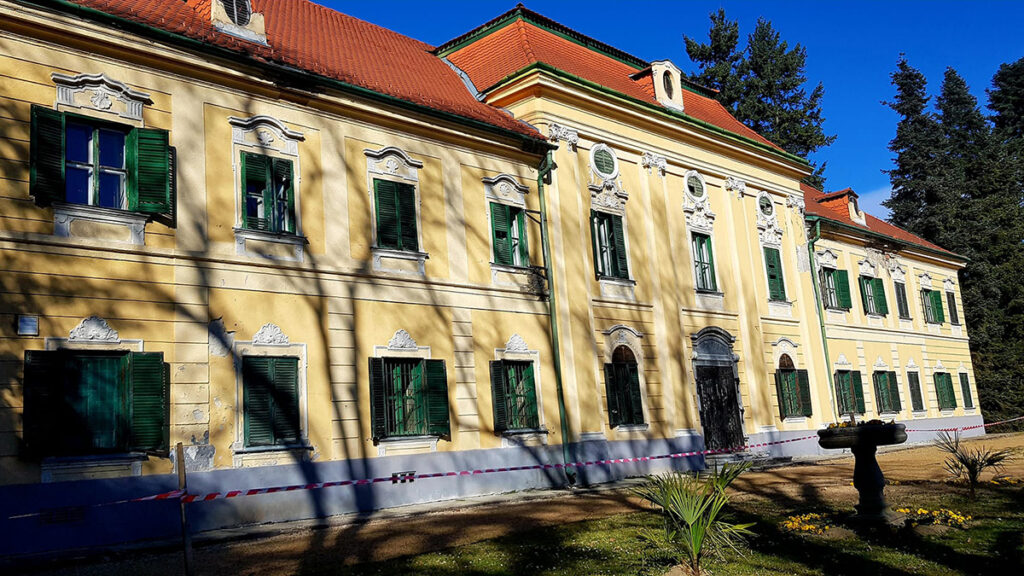 Több ezer illír sáfrány borítja a Sellyei Arborétumot