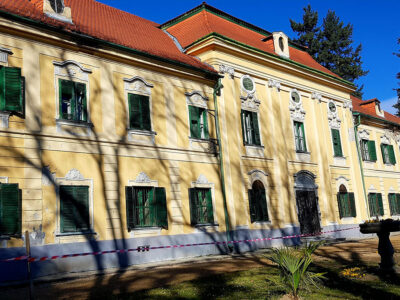 Több ezer illír sáfrány borítja a Sellyei Arborétumot