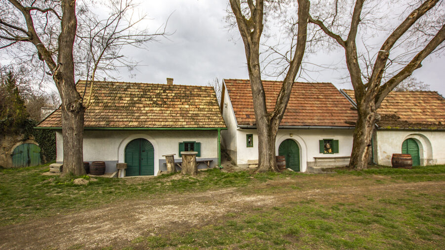 Farsang a Töki Pincesoron: programok, csodálatos borok, finom falatok