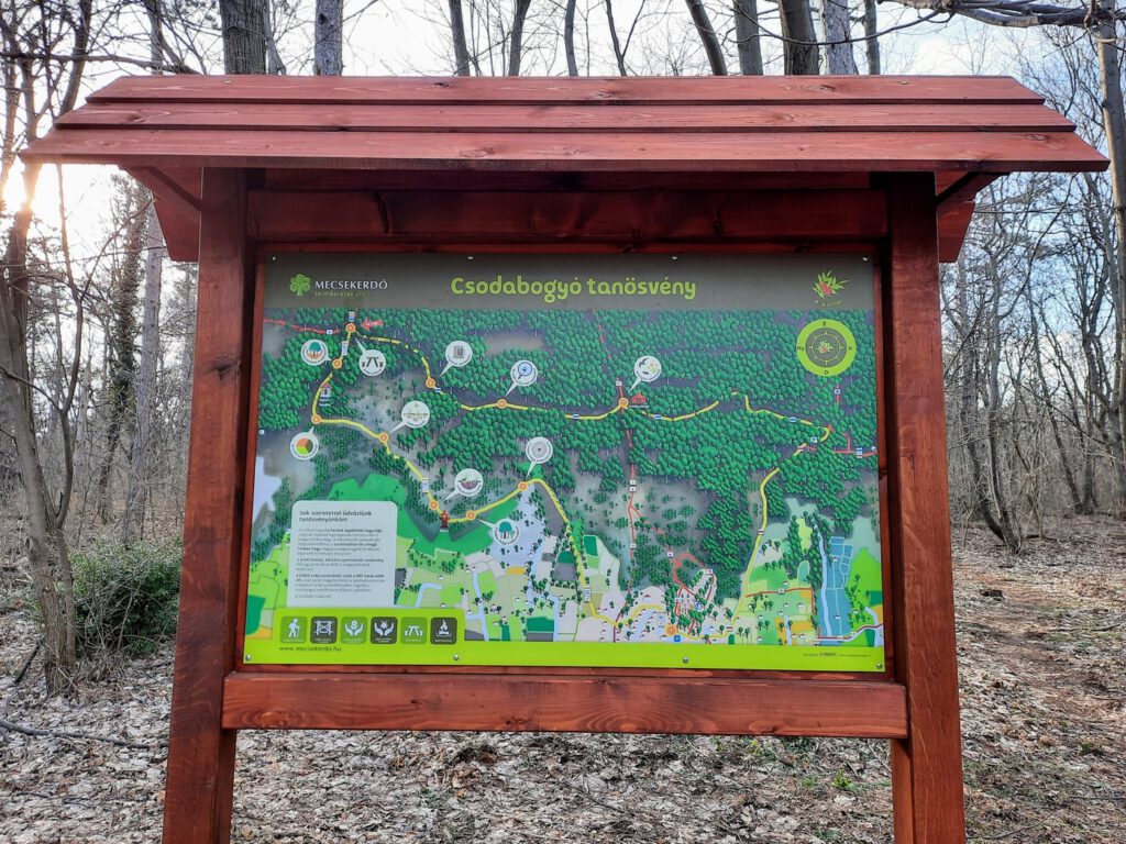 Csodabogyó tanösvény a máriagyűdi templomtól a Tenkes-hegy tetejére
