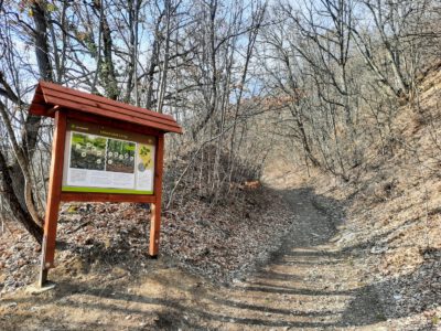 Csodabogyó tanösvény a máriagyűdi templomtól a Tenkes-hegy tetejére
