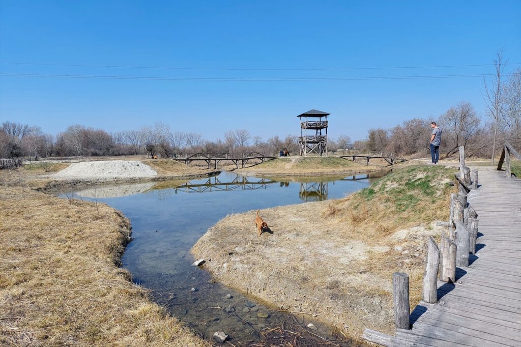 Dabas kilátója, ahova a Szent Jakab sétány pallói vezetnek
