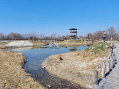 Dabas kilátója, ahova a Szent Jakab sétány pallói vezetnek