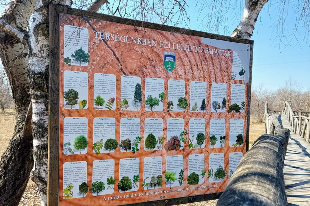 Dabas kilátója, ahova a Szent Jakab sétány pallói vezetnek