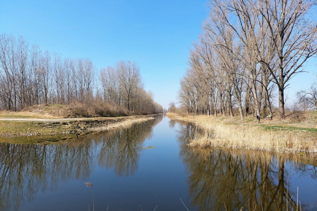 Dabas kilátója, ahova a Szent Jakab sétány pallói vezetnek