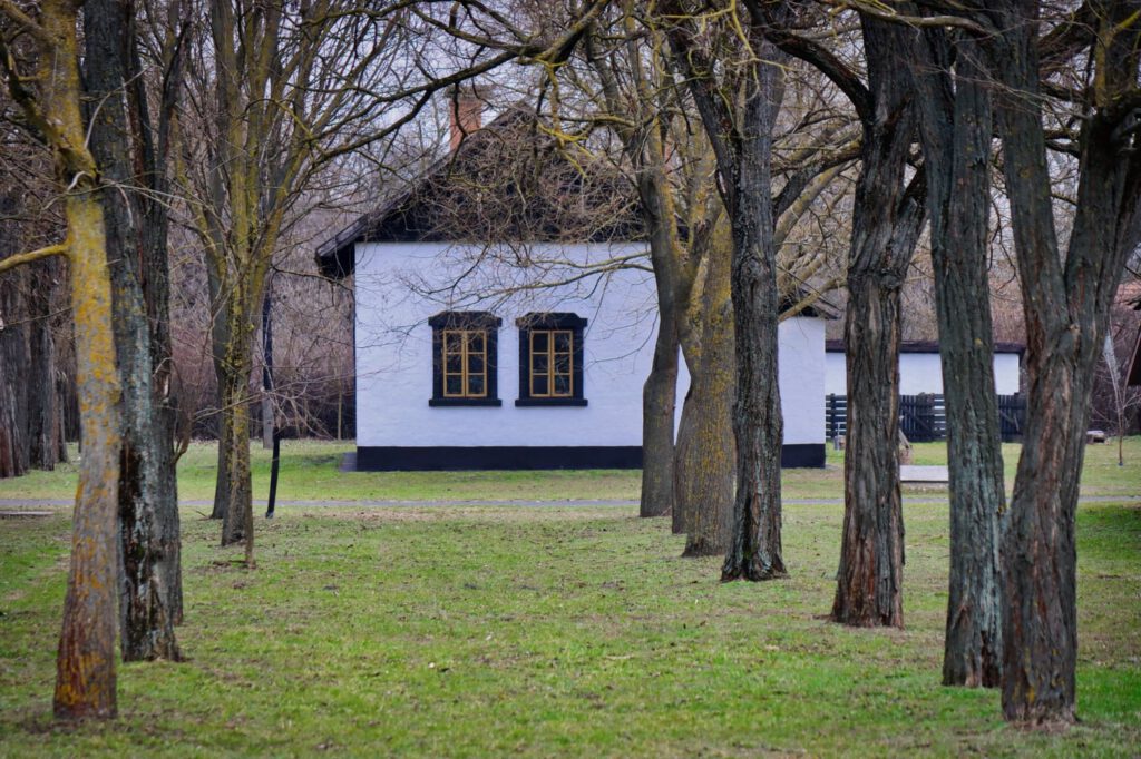 Ópusztaszeri Nemzeti Emlékpark: történelmi emlékutazás 55 hektáron