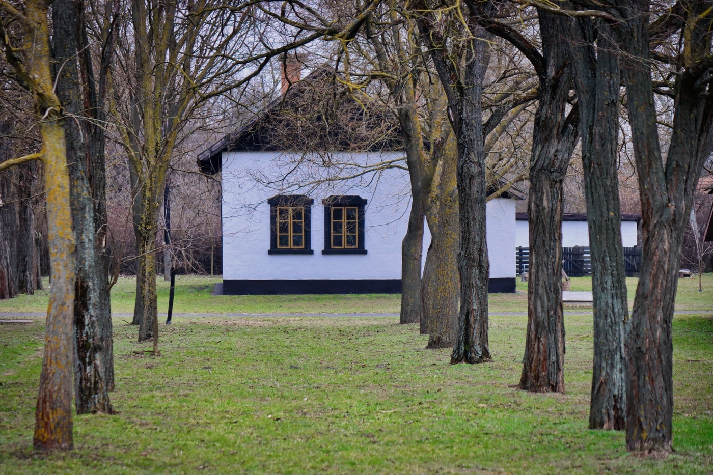 Ópusztaszeri Nemzeti Emlékpark: történelmi emlékutazás 55 hektáron