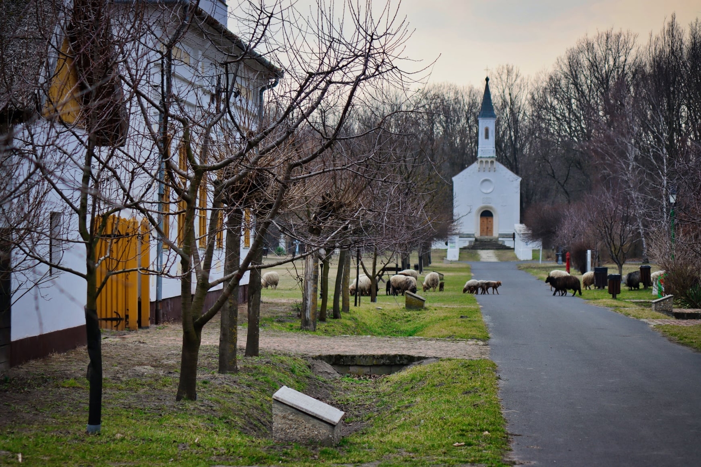 Ópusztaszeri Nemzeti Emlékpark: történelmi emlékutazás 55 hektáron