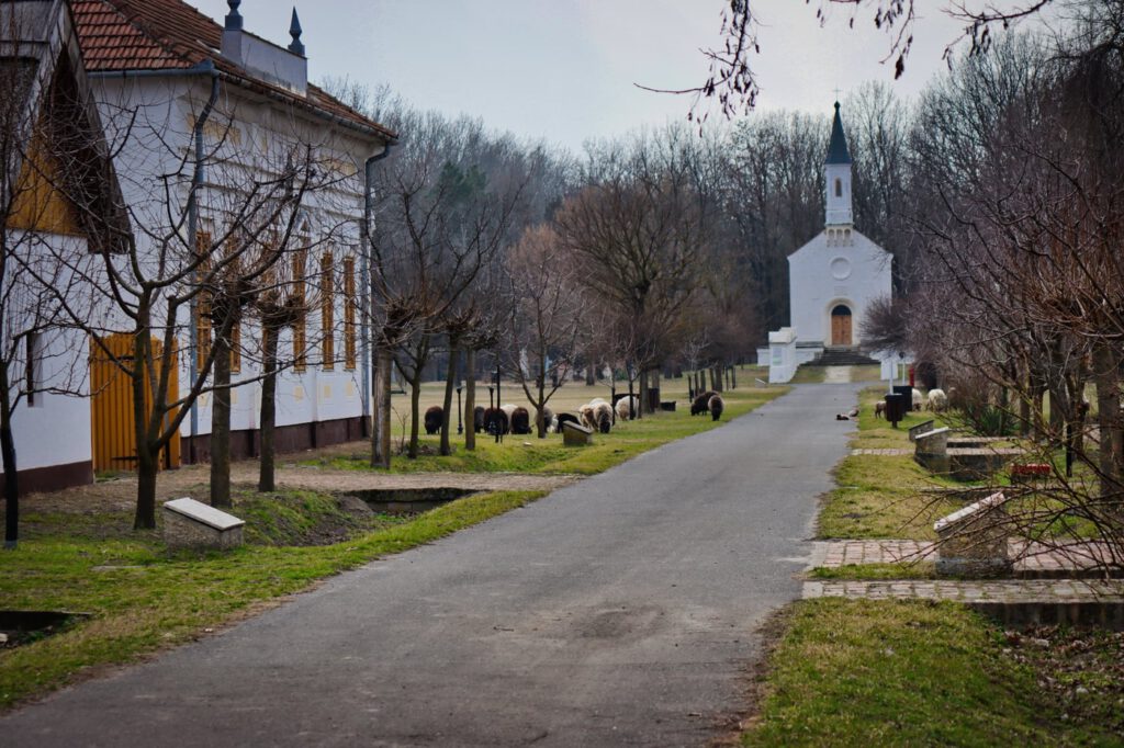 Ópusztaszeri Nemzeti Emlékpark: történelmi emlékutazás 55 hektáron