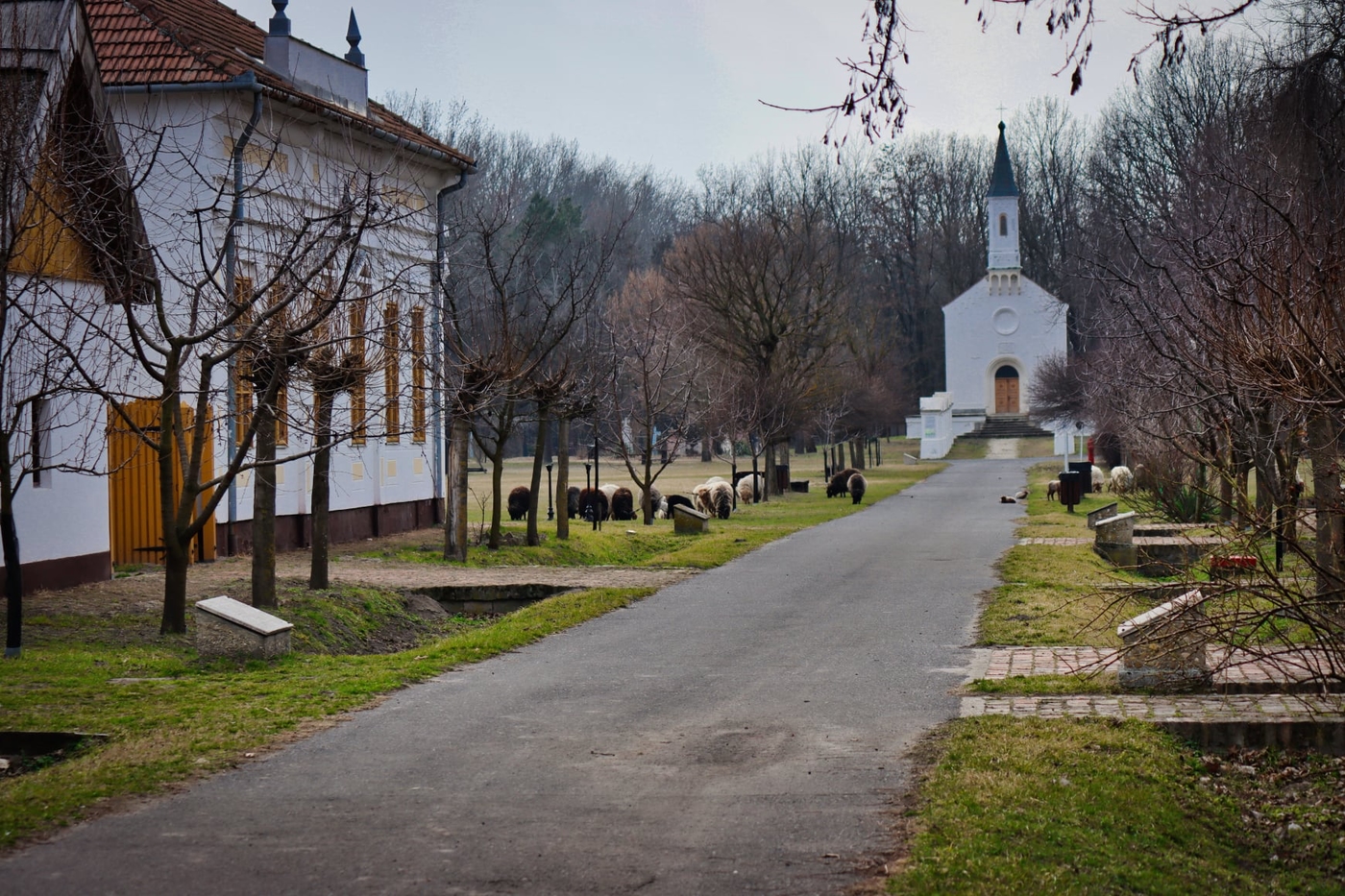 Ópusztaszeri Nemzeti Emlékpark: történelmi emlékutazás 55 hektáron