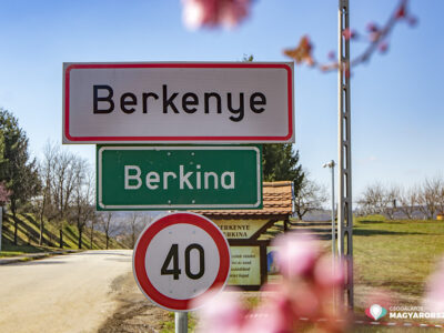 Berkenye: rózsaszín virágszirmok sokasága hirdeti a tavaszt a vérszilva fasoron