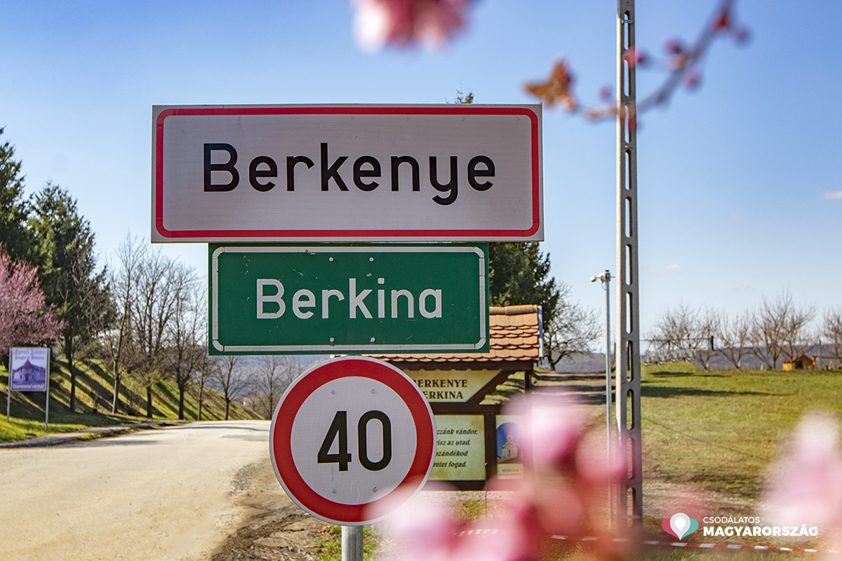 Berkenye: rózsaszín virágszirmok sokasága hirdeti a tavaszt a vérszilva fasoron
