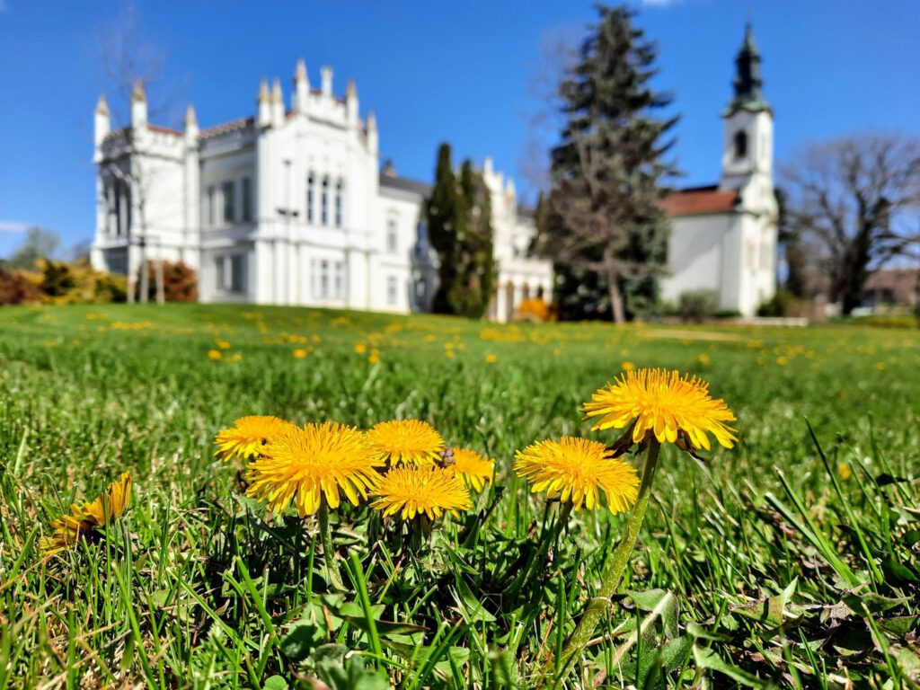 Martonvásári Brunszvik-kastély – tavaszi séta a „legek” kastélyában