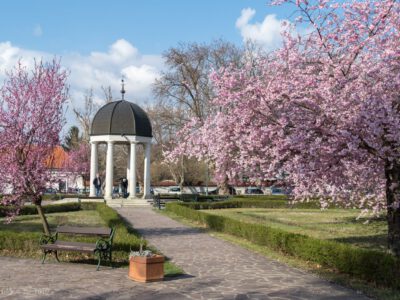 Eger tavaszi éke a virágba borult cseresznyefák a Szent József parkban