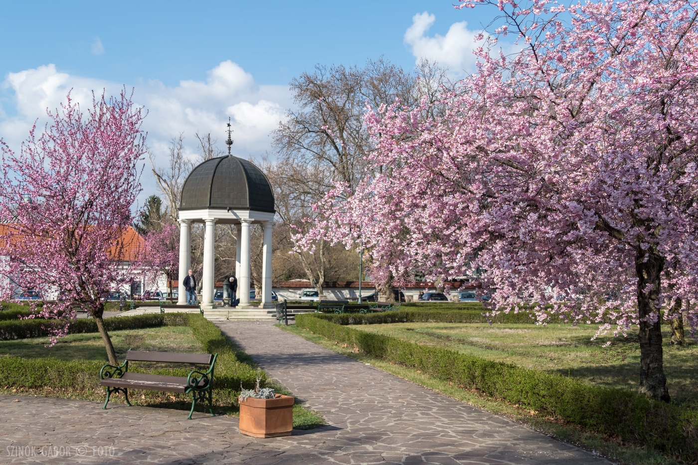 Eger tavaszi éke a virágba borult cseresznyefák a Szent József parkban