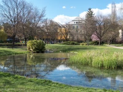 Egri Érsekkert, a Bükk lábánál elterülő legendás település tüdeje