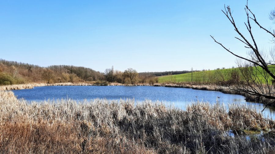 Ivánbattyáni tórendszer - háborítatlan természet, kiváló kirándulóhely