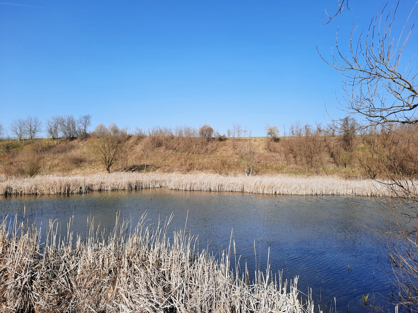 Ivánbattyáni tórendszer – háborítatlan természet, kiváló kirándulóhely
