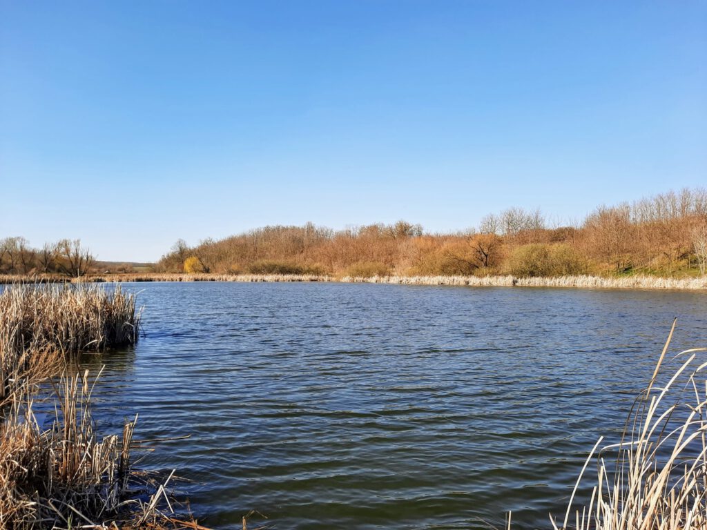 Ivánbattyáni tórendszer – háborítatlan természet, kiváló kirándulóhely