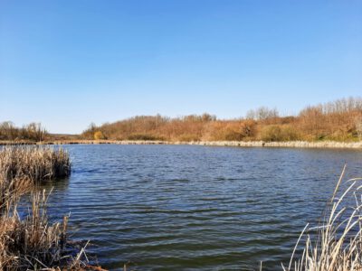Ivánbattyáni tórendszer – háborítatlan természet, kiváló kirándulóhely