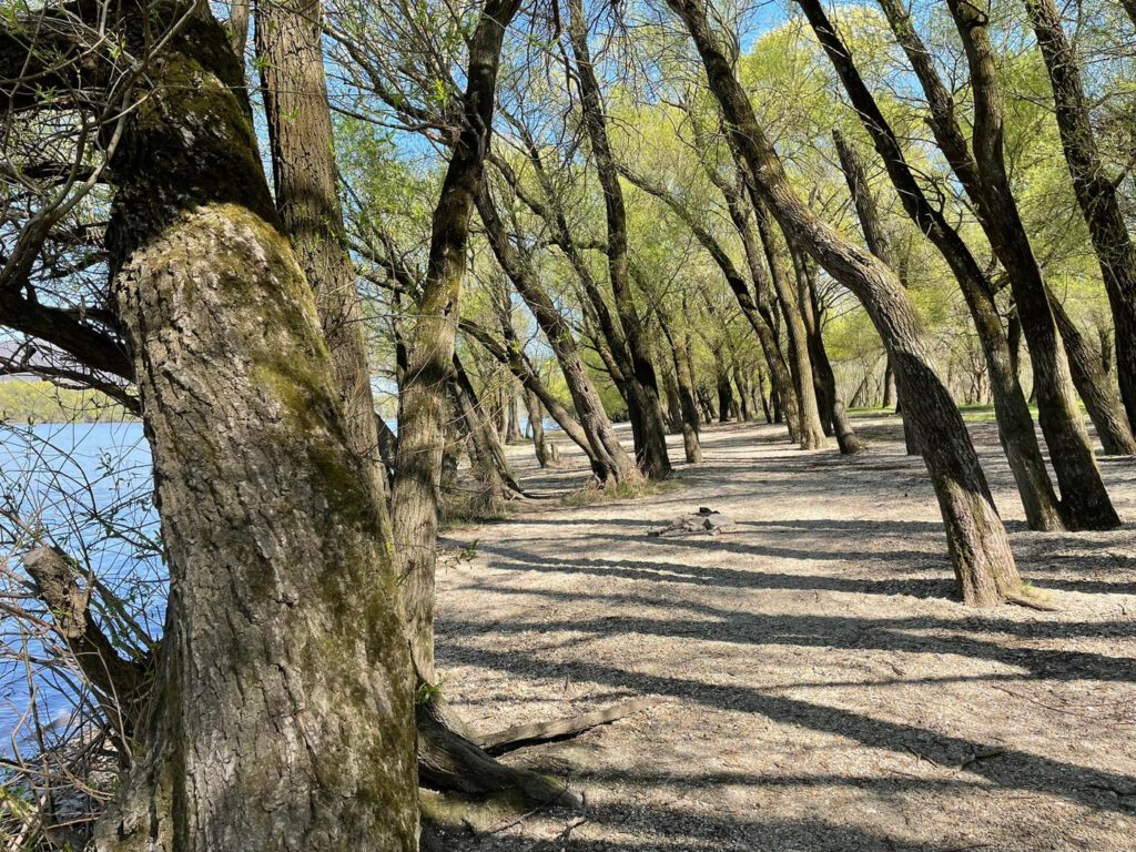 A tavasz fuvallata suttogja körbe a kisoroszi Szigetorrot