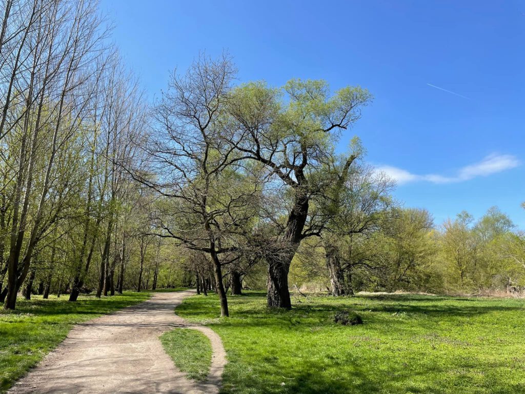 A tavasz fuvallata suttogja körbe a kisoroszi Szigetorrot