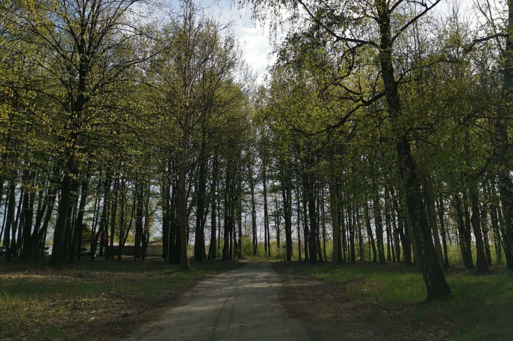 Kunfehértó tava, a 70 éves település tavasszal is mesés területe