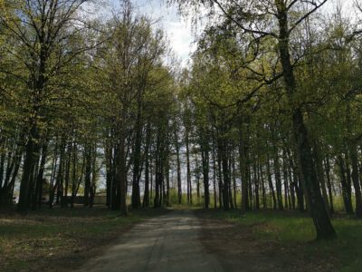 Kunfehértó tava, a 70 éves település tavasszal is mesés területe