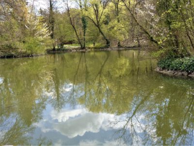 Miskolctapolca ősparkja, melybe lopakodva érkezik a tavasz