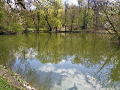 Miskolctapolca ősparkja, melybe lopakodva érkezik a tavasz