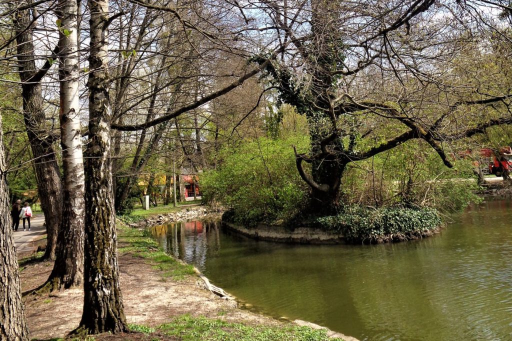 Miskolctapolca ősparkja, melybe lopakodva érkezik a tavasz