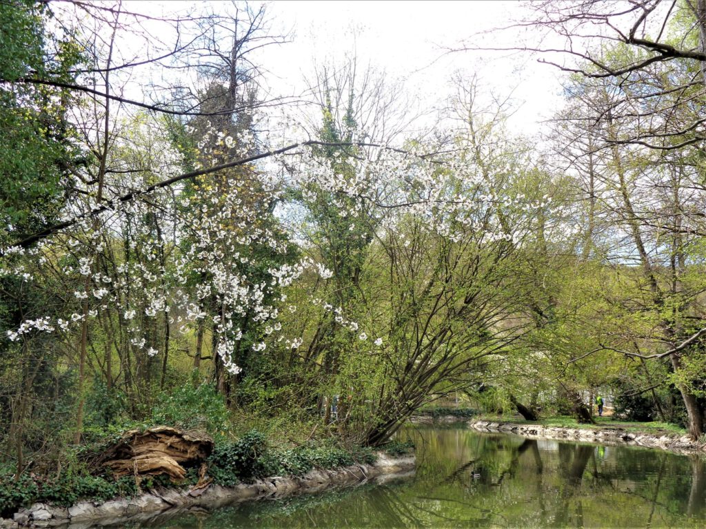 Miskolctapolca ősparkja, melybe lopakodva érkezik a tavasz