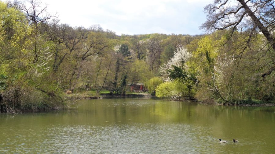 Miskolctapolca ősparkja, melybe lopakodva érkezik a tavasz