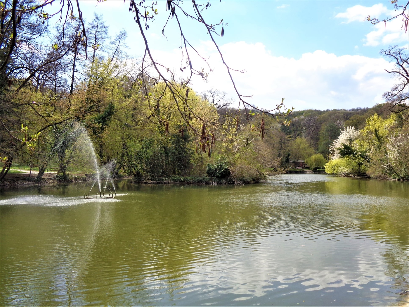 Miskolctapolca ősparkja, melybe lopakodva érkezik a tavasz