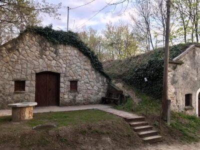 Takaros pincék sora az Etyek-Budai borvidék településén, Pátyon