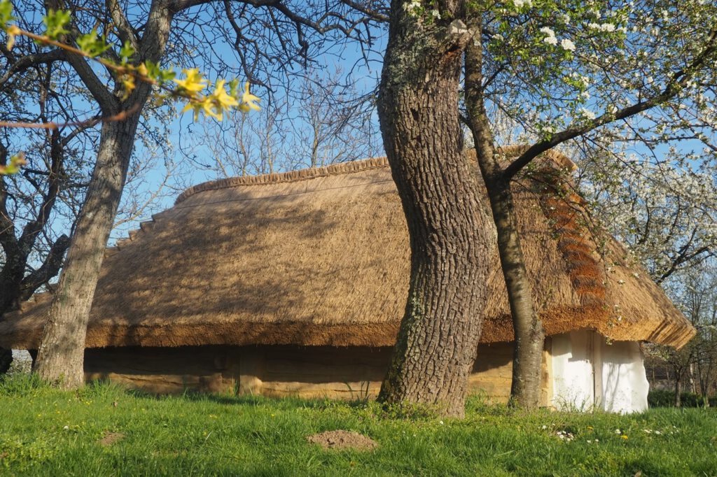 Tavaszi pompában a kemenesháti Petőmihályfa szőlőhegye