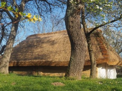 Tavaszi pompában a kemenesháti Petőmihályfa szőlőhegye